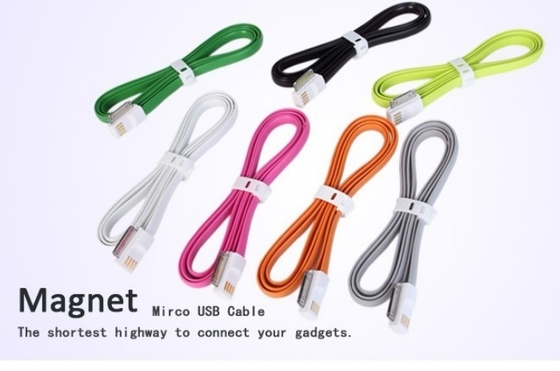 il Pin magnetico 30 1.2m del cavo del caricatore di iPhone 4/4S USB lungamente trasferisce il cavo